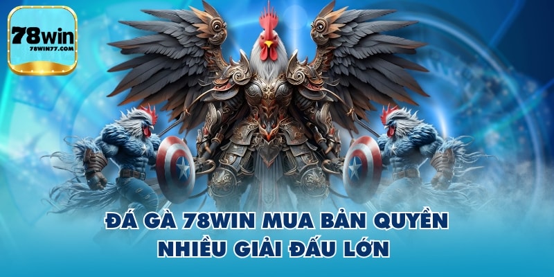Đá gà 78WIN mua bản quyền nhiều giải đấu lớn